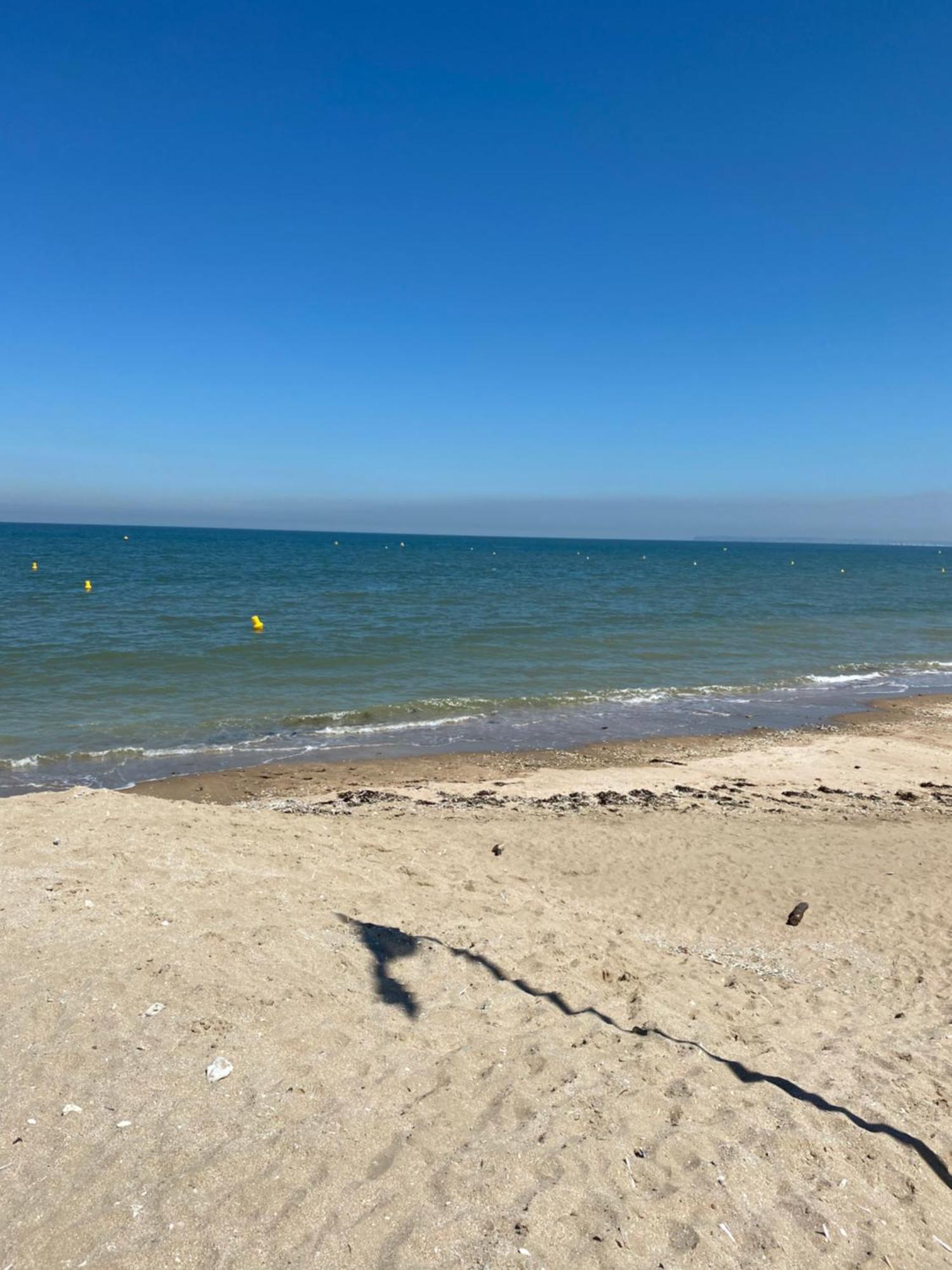 Appartement 65M2 Avec Balcon Vues Partielles Mer A 150M De La Plage Et Centre, Wifi Et Parking Prive Блонвил-сюр-Мер Екстериор снимка